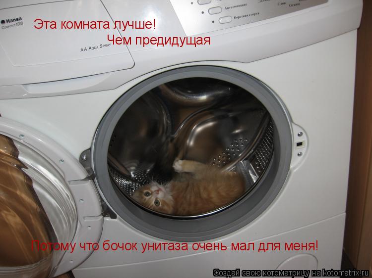 Котоматрица: Эта комната лучше! Чем предидущая Потому что бочок унитаза очень мал для меня!