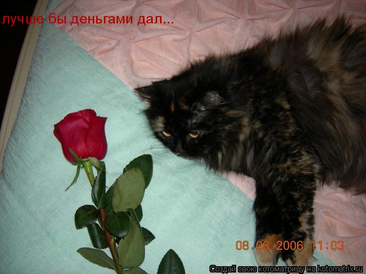 лучше бы деньгами дал...... Котоматрица: лучше бы деньгами дал...