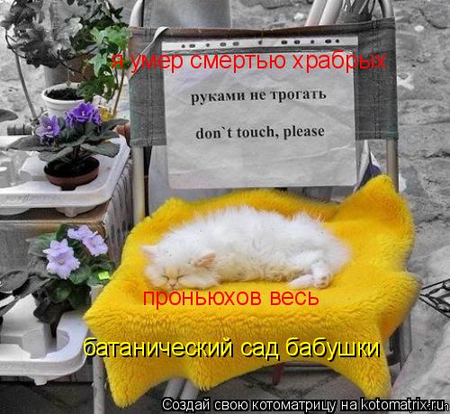 я умер смертью храбрых проньюхов весь батанический сад бабушки... Котоматрица: я умер смертью храбрых проньюхов весь батанический сад бабушки