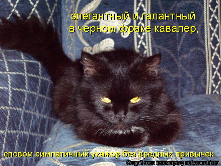 Котоматрица: элегантный и галантный в черном фраке кавалер, словом симпатичный ухажор без вредных привычек