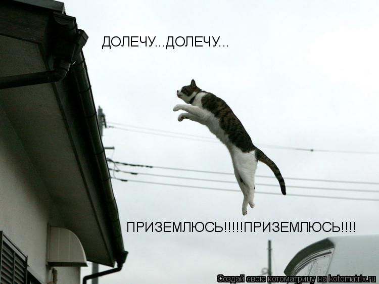 Котоматрица: ДОЛЕЧУ...ДОЛЕЧУ... ПРИЗЕМЛЮСЬ!!!!!ПРИЗЕМЛЮСЬ!!!!