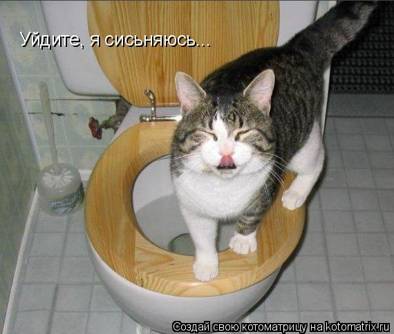 Уйдите, я сисьняюсь...... Котоматрица: Уйдите, я сисьняюсь...