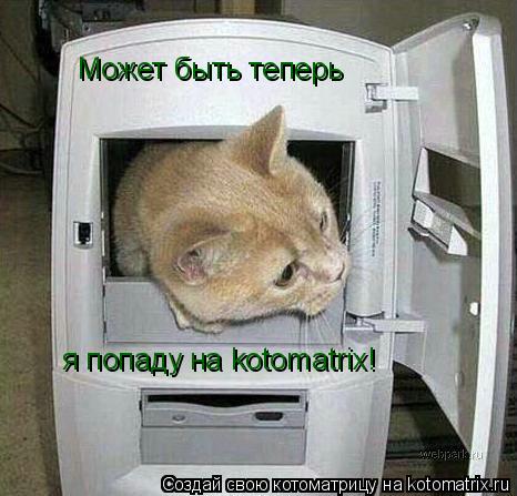 Котоматрица: Может быть теперь я попаду на kotomatrix!