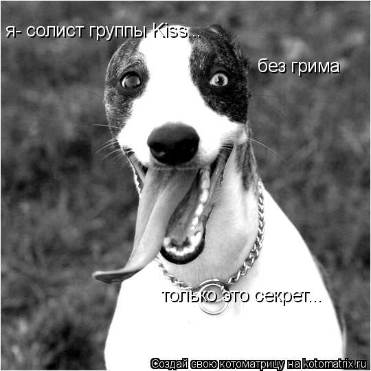Котоматрица: я- солист группы Kiss... только это секрет... без грима