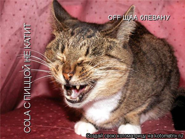 Котоматрица: COLA С ПИЦЦОЙ НЕ КАТИТ OFF ЩАА бЛЕВАНУ