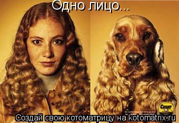 Котоматрица: Одно лицо...