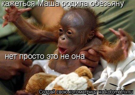 Котоматрица: кажеться Маша родила обезьяну нет просто это не она