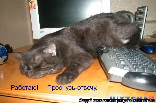 Котоматрица: Работаю!     Проснусь-отвечу.