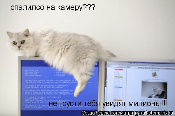 спалилсо на камеру??? не грусти тебя увидят милионы!!!... Котоматрица: спалилсо на камеру??? не грусти тебя увидят милионы!!!