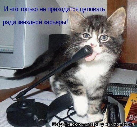 Котоматрица: И что только не приходится целовать ради звёздной карьеры!