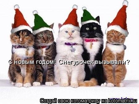 Котоматрица: С новым годом! Снегурочек вызывали?