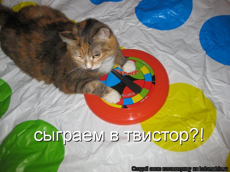 сыграем в твистор?!... Котоматрица: сыграем в твистор?!