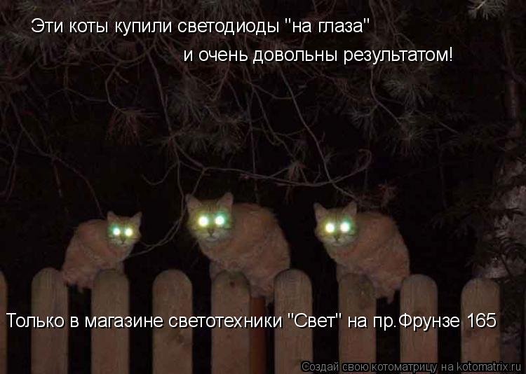 Котоматрица: Эти коты купили светодиоды "на глаза"   и очень довольны результатом! Только в магазине светотехники "Свет" на пр.Фрунзе 165