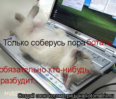 Котоматрица: Только соберусь пора  ботать,  обязательно кто-нибудь  разбудит...