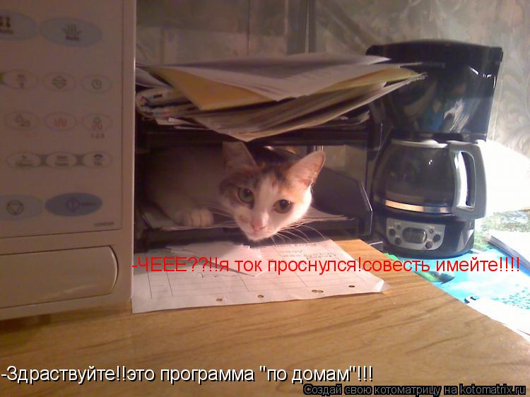 Котоматрица: -Здраствуйте!!это программа "по домам"!!! -ЧЕЕЕ??!!я ток проснулся!совесть имейте!!!!