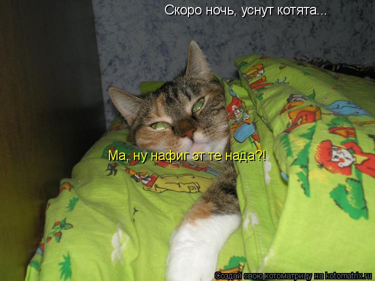 Котоматрица: Скоро ночь, уснут котята... Ма, ну нафиг эт те нада?!