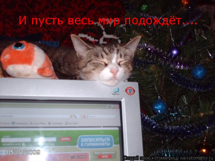 Котоматрица: И пусть весь мир подождёт....
