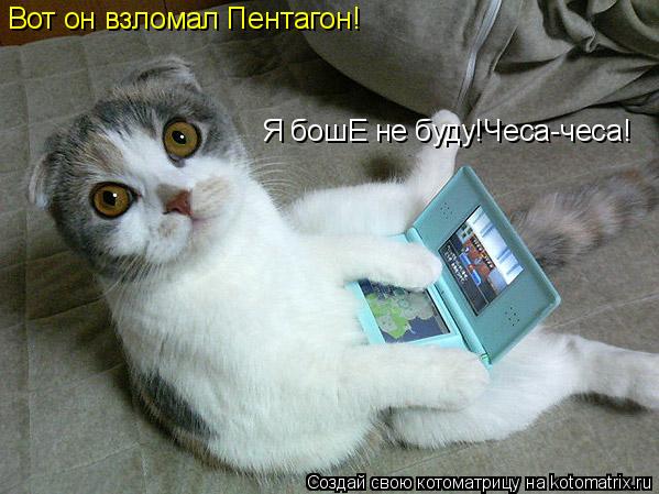 Котоматрица: Вот он взломал Пентагон! Я бошЕ не буду!Чеса-чеса!
