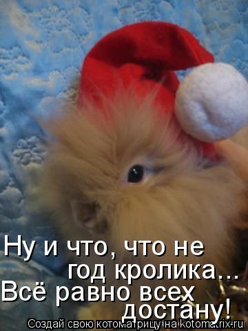 Всё равно всех достану! Ну и что, что не год кролика...... Котоматрица: Всё равно всех достану! Ну и что, что не год кролика...