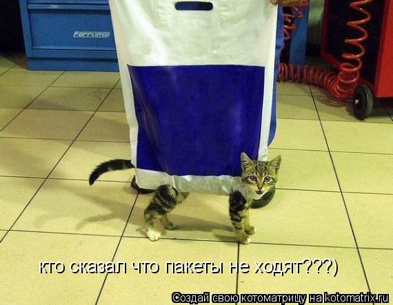 Котоматрица: кто сказал что пакеты не ходят???)