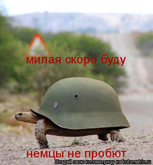 Котоматрица: милая скоро буду  немцы не пробют