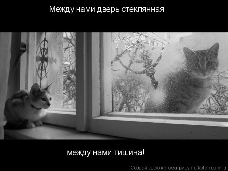 Между нами дверь стеклянная между нами тишина!... Котоматрица: Между нами дверь стеклянная между нами тишина!