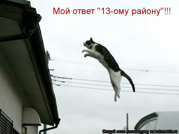 Котоматрица: Мой ответ "13-ому району"!!!