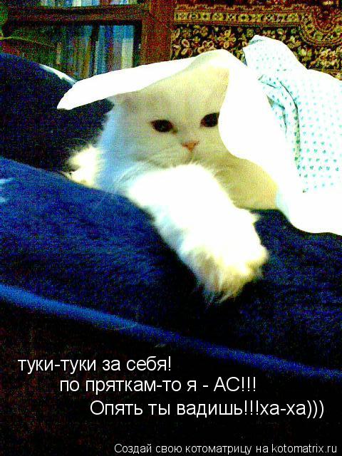 Котоматрица: туки-туки за себя! по пряткам-то я - АС!!! Опять ты вадишь!!!ха-ха)))