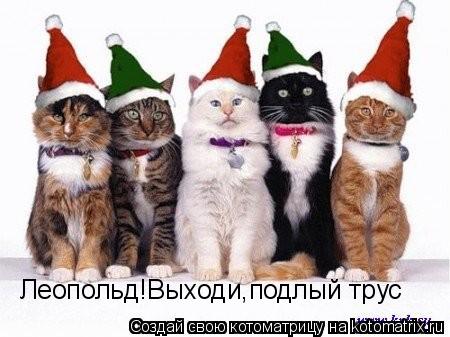 Леопольд!Выходи,подлый трус... Котоматрица: Леопольд!Выходи,подлый трус