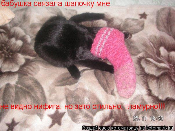 бабушка связала шапочку мне не видно нифига, но зато стильно, гламурно!!!... Котоматрица: бабушка связала шапочку мне не видно нифига, но зато стильно, гламурно!!!