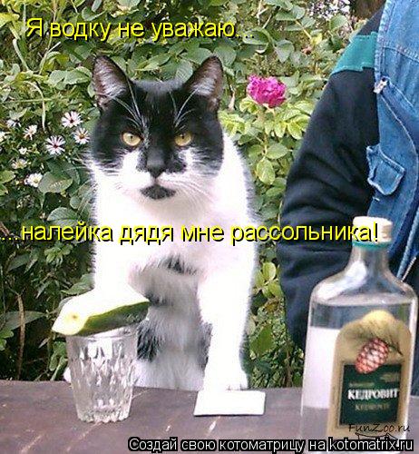 Котоматрица: Я водку не уважаю... ...налейка дядя мне рассольника!