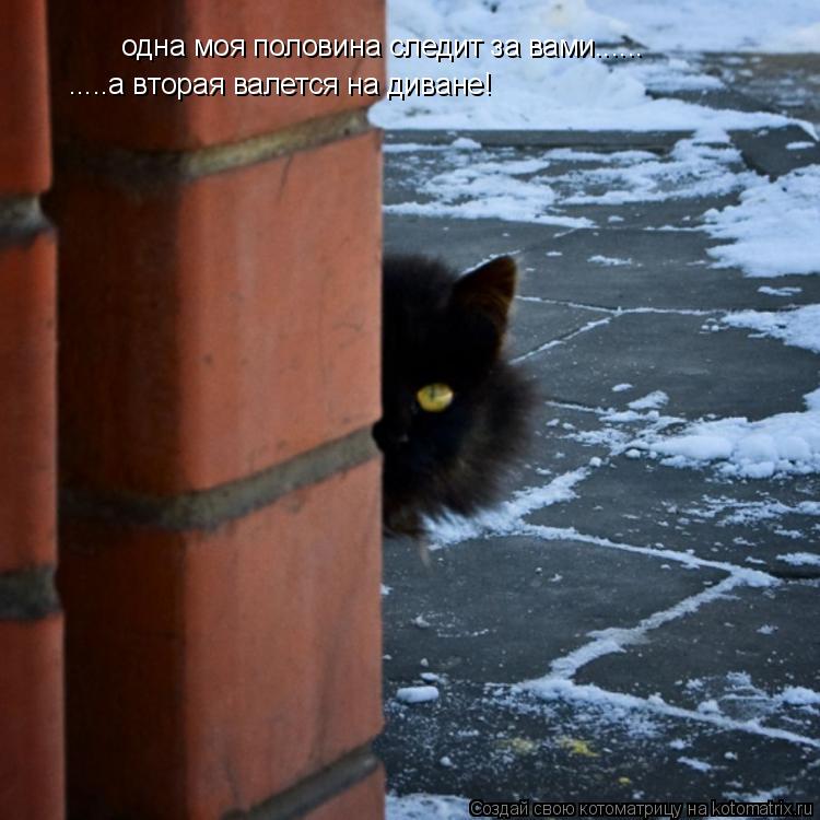 одна моя половина следит за вами...... .....а вторая валется на диване!... Котоматрица: одна моя половина следит за вами...... .....а вторая валется на диване!