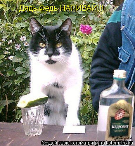 Котоматрица: Дядь Федь НАЛИВАЙ!!!
