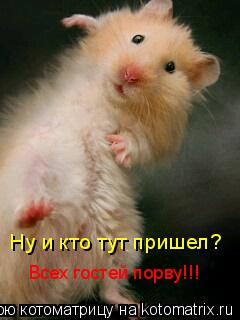 Котоматрица: Ну и кто тут пришел? Всех гостей порву!!!