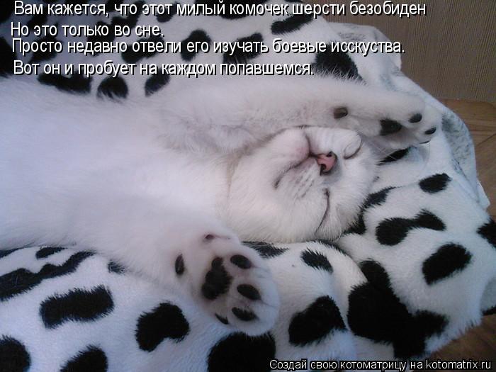 Вам кажется, что этот милый комочек шерсти безобиден Но это только во сне. Просто недавно отвели его ... Котоматрица: Вам кажется, что этот милый комочек шерсти безобиден Но это только во сне. Просто недавно отвели его изучать боевые исскуства. Вот он и проб