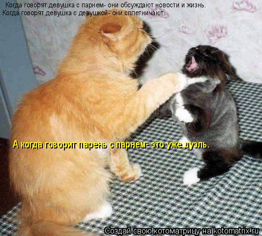 Когда говорят девушка с парнем- они обсуждают новости и жизнь. Когда говорят девушка с девушкой- они ... Котоматрица: Когда говорят девушка с парнем- они обсуждают новости и жизнь. Когда говорят девушка с девушкой- они сплетничают. А когда говорит парень с п