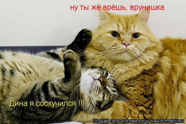 ну ты же врёшь, врунишка Дина я соскучился !!!... Котоматрица: ну ты же врёшь, врунишка Дина я соскучился !!!