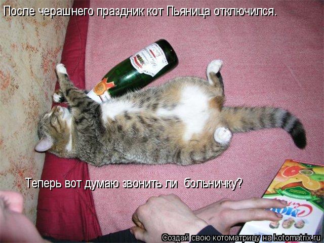 Котоматрица: После черашнего праздник кот Пьяница отключился. Теперь вот думаю звонить ли  больничку?