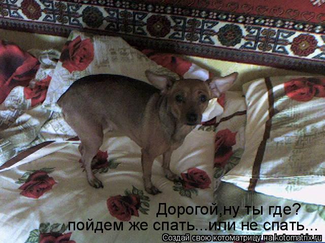 Дорогой,ну ты где? пойдем же спать...или не спать...... Котоматрица: Дорогой,ну ты где? пойдем же спать...или не спать...