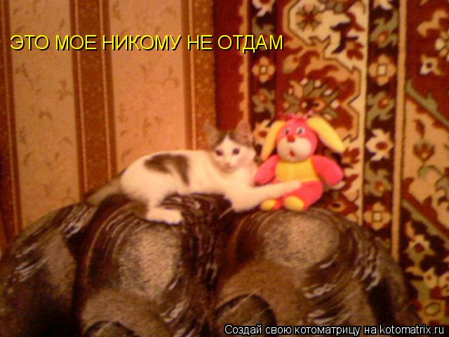 Котоматрица: ЭТО МОЕ НИКОМУ НЕ ОТДАМ ЭТО МОЕ НИКОМУ НЕ ОТДАМ