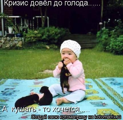 Котоматрица: Кризис довёл до голода...... Кризис довёл до голода...... А  кушать - то хочется..... А  кушать - то хочется..... А  кушать - то хочется.....