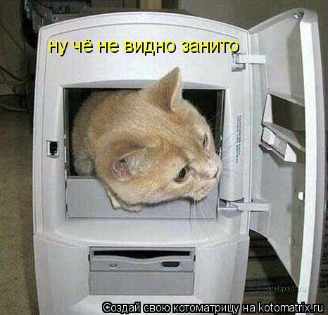 Котоматрица: ну чё не видно занито