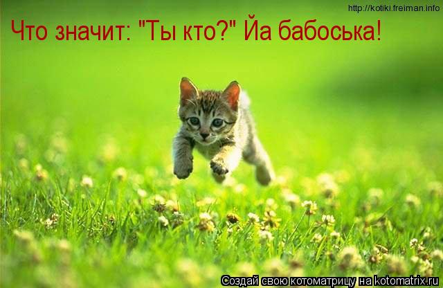 Что значит: "Ты кто?" Йа бабоська!... Котоматрица: Что значит: "Ты кто?" Йа бабоська!