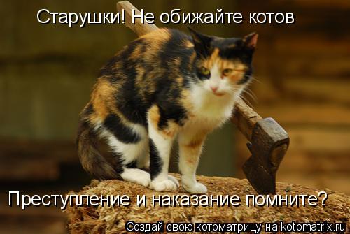 Котоматрица: Старушки! Не обижайте котов Преступление и наказание помните?