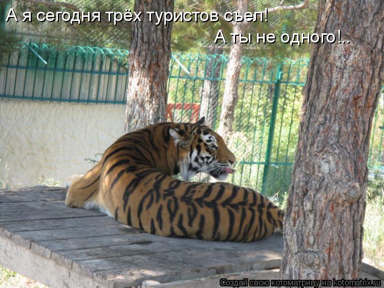 А я сегодня трёх туристов съел! А ты не одного!..... Котоматрица: А я сегодня трёх туристов съел! А ты не одного!..