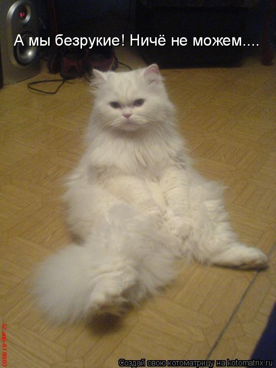А мы безрукие! Ничё не можем....... Котоматрица: А мы безрукие! Ничё не можем....