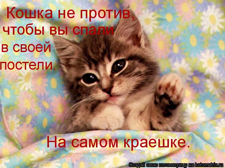 Котоматрица: Кошка не против, чтобы вы спали в своей постели. На самом краешке.