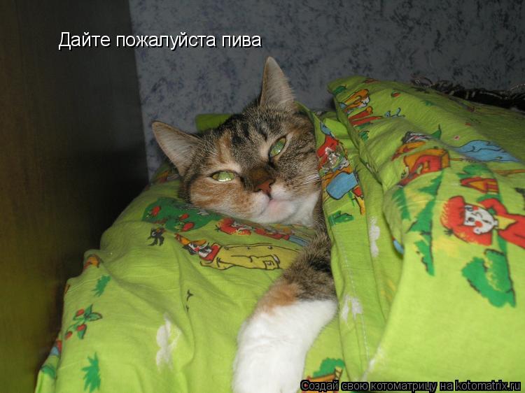 Котоматрица: Дайте пожалуйста пива