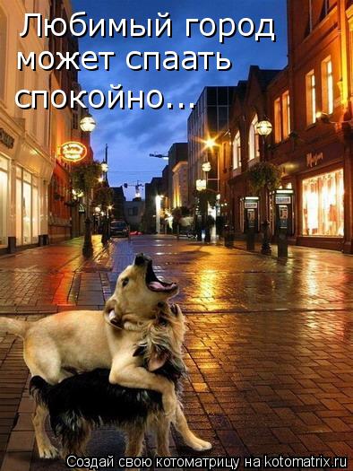 Любимый город может спаать спокойно...... Котоматрица: Любимый город может спаать спокойно...