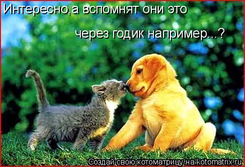 Котоматрица: Интересно,а вспомнят они это через годик например...?
